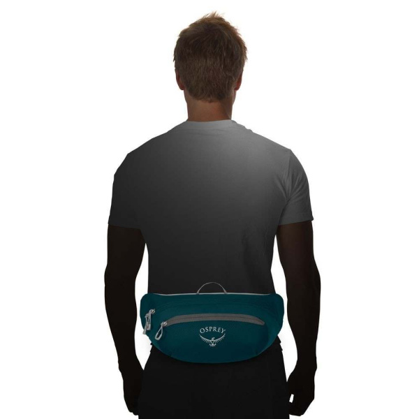 Сумка поясная Daylite Waist (black; 2 л)